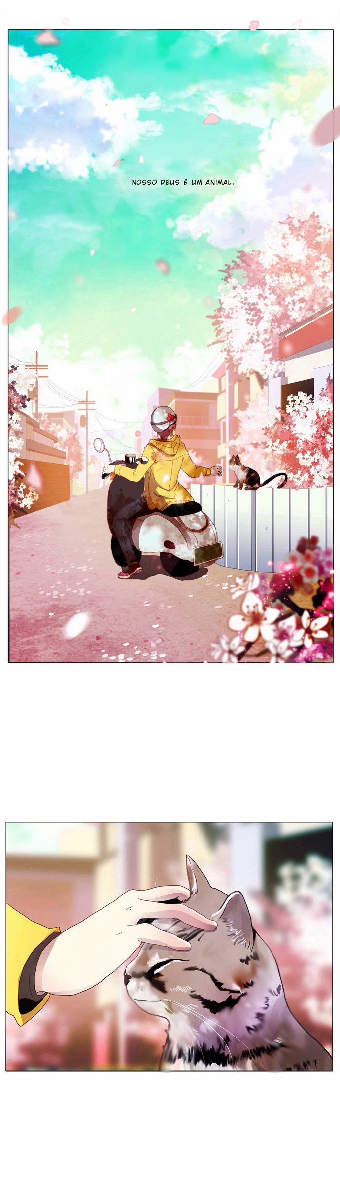 Flow 第4页
